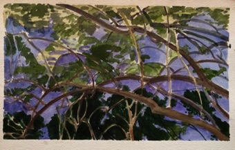 Leafy branches and a pond Leafy branches and a pond